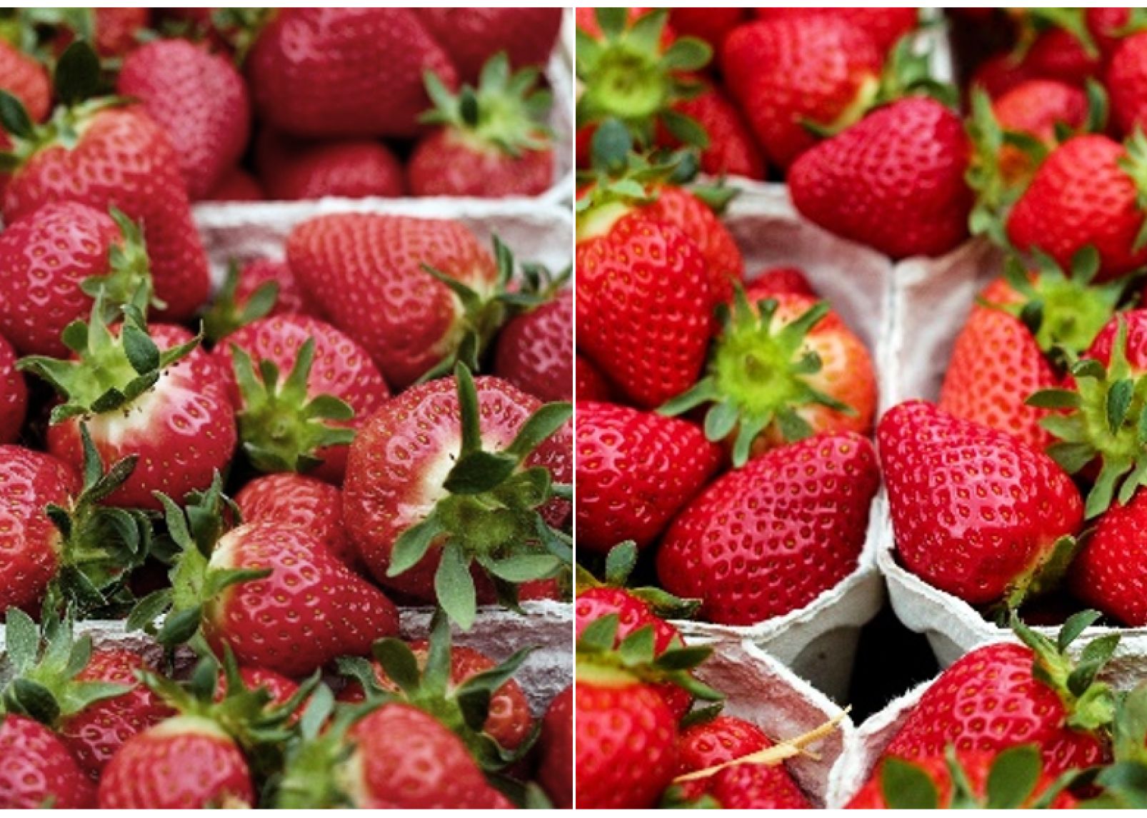 Strawberries (Cover)